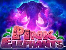 Pink Elephants kostenlos spielen